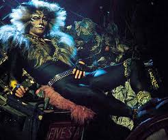 rum tum tugger