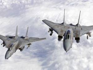 pair f-14 pic